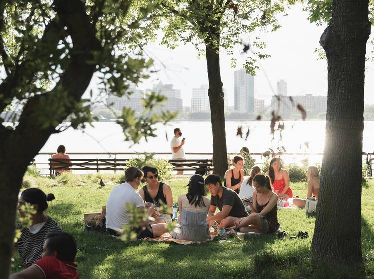 Annual Bay Area Oberlin Picnic