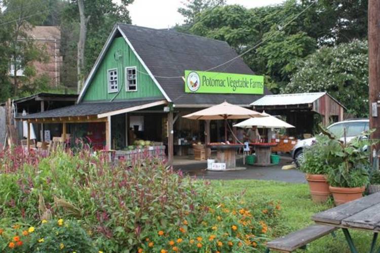 DC Club: Tour of Potomac Vegetable Farms